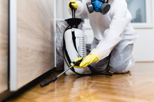 Best Wasp Removal Services  in Golden Triangle, NJ