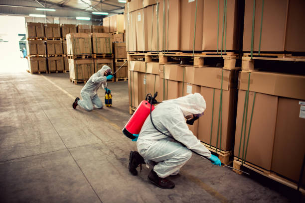 Best Exterminator Services  in Golden Triangle, NJ
