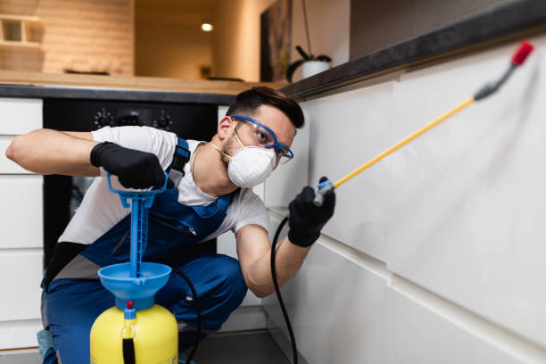 Best Pest Prevention Services  in Golden Triangle, NJ