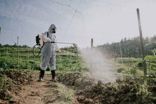 Best Pest Control Treatment  in Golden Triangle, NJ