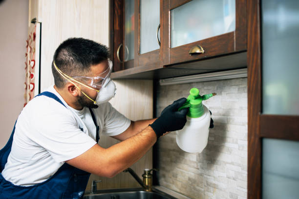 Best Pest Control for Businesses  in Golden Triangle, NJ