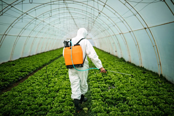 Best Mosquito Control Services  in Golden Triangle, NJ