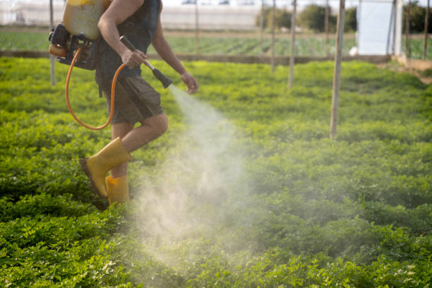 Best Local Pest Control Services  in Golden Triangle, NJ