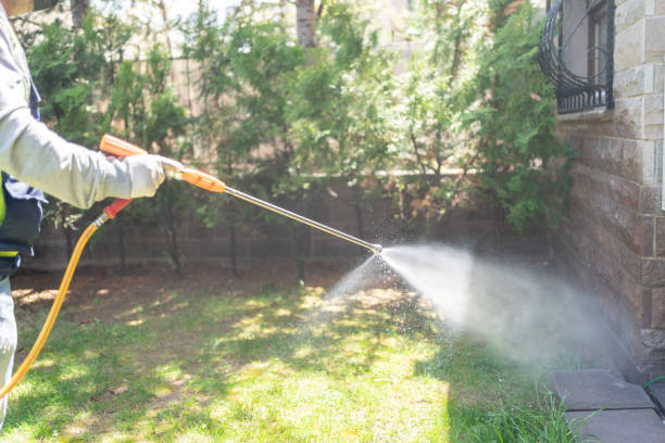 Best Pest Removal Services  in Golden Triangle, NJ