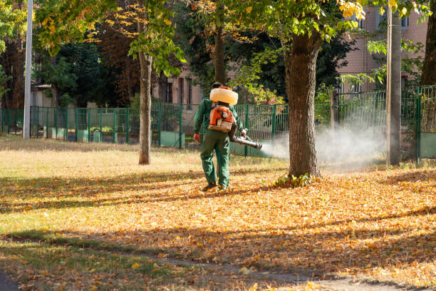 Pest Prevention Services in Golden Triangle, NJ