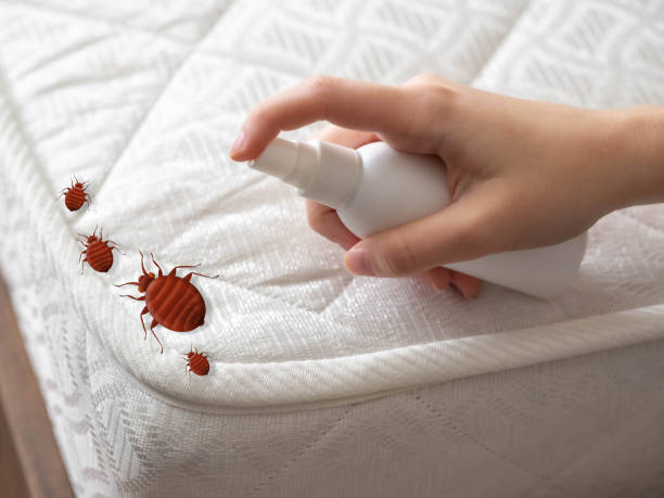 Golden Triangle, NJ Pest Control Pros