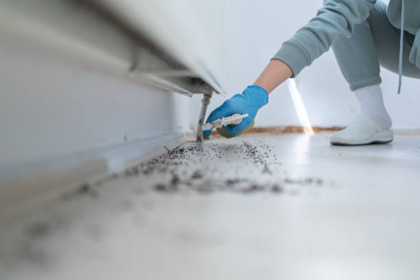 Best Ant Control Services  in Golden Triangle, NJ