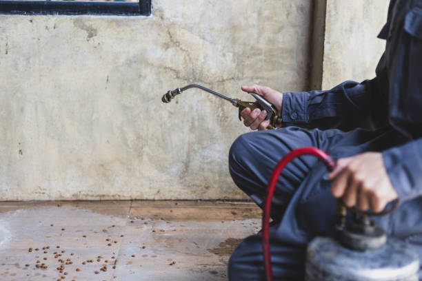 Best Mosquito Control Services  in Golden Triangle, NJ